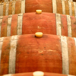 纳帕县的经济影响葡萄酒和葡萄